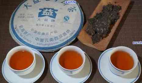 云南云桢号普洱茶价格_优质茶叶推荐及市场行情分析