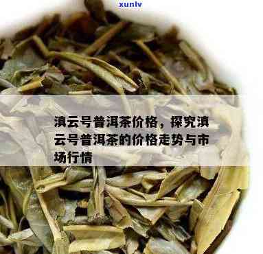 云南云桢号普洱茶价格_优质茶叶推荐及市场行情分析