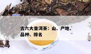 古六大古茶山普洱茶