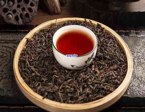 普洱茶与哪些食材搭配煮饮效果？一文详解普洱茶搭配秘