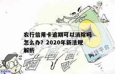 农行信用卡逾期几天没事了，2020年新法规：怎么办？