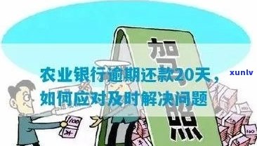 逾期信用卡还款全攻略：如何处理逾期并恢复正常使用