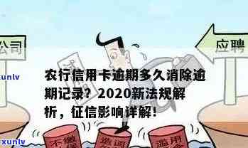 2020年农行信用卡逾期新法规详解：还款期限、罚款及逾期后果全方位解析