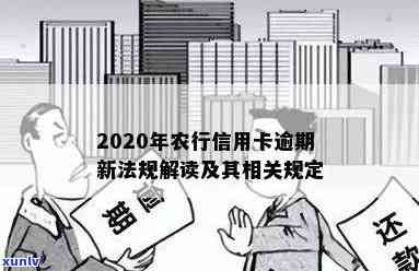 2020年农行信用卡逾期新法规详解：还款期限、罚款及逾期后果全方位解析