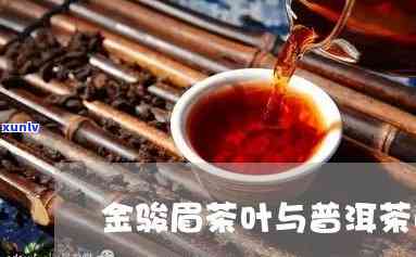 金骏眉与普洱茶的区别：从产地、 *** 工艺到口感的全面解析