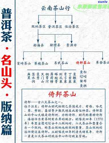 六大茶山倚邦正山：寨子特色、评价与种类解析