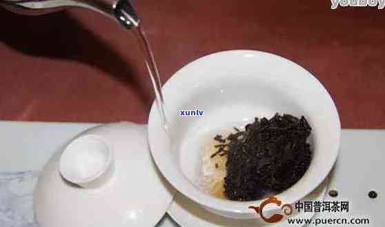 普洱茶喝前一定要洗茶吗？为什么不能喝？