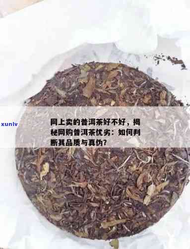  *** 的普洱茶可以吗