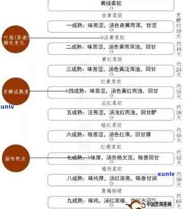 从种植到品鉴：六年普洱熟茶的完整生命周期及其独特风味探究