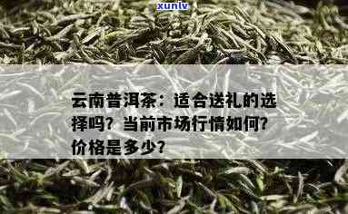 云南布朗普洱茶价格及选购指南：深入了解茶叶品质、市场行情与泡法技巧