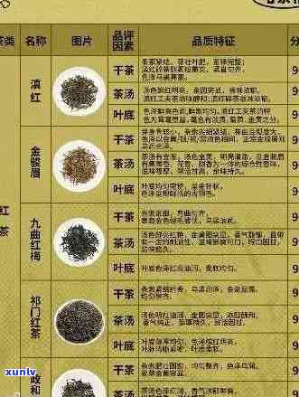 普洱茶计量单位：普洱茶的数量、重量、体积等常用单位。