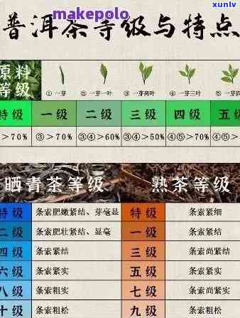 普洱茶4个数字的秘密解析：品名、年份、等级和产地