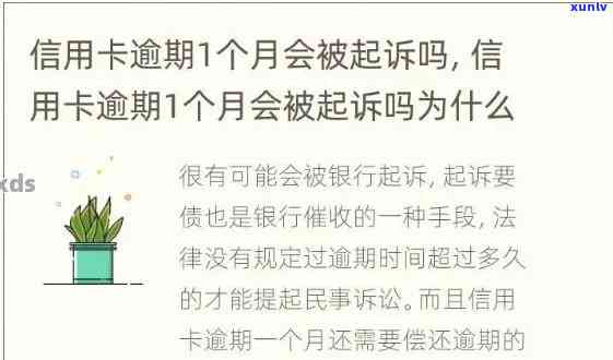 我信用卡逾期几个月了他们说要告我上法院怎么办，已经起诉了怎么办？