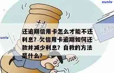 信用卡逾期还款危机：全面解决方案与自我挽救指南