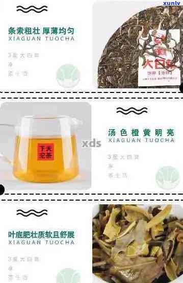 大益普洱茶大白菜价格查询：最新熟茶和小白菜价格