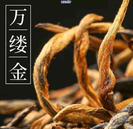 新 陈皮与普洱茶：一场味觉的交织，探索独特的醇厚之魅