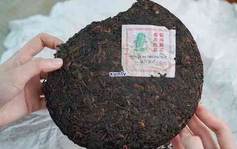 聘号普洱茶8376品质，价格，熟化程度详解，附8336与8316对比