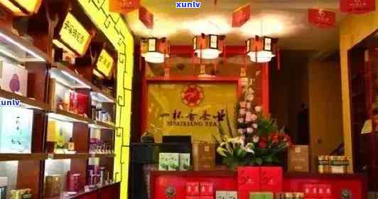 今大福普洱茶专卖店怎么样：授权专营店与分布，加盟官网详情