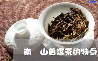 南檽山普洱茶有效期