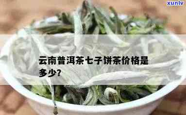 云南七子饼茶普洱茶价格区间、对比及购买指南