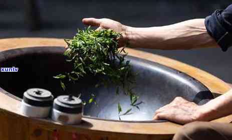 普洱茶精品推荐：全面了解几款优质普洱茶，帮助您轻松选购