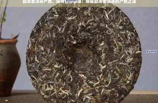 翡翠飘花龙牌掉坠：全方位解析、选购与保养指南