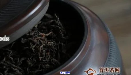 普洱茶能放地下室吗有吗-普洱茶能放地下室吗有吗能喝吗