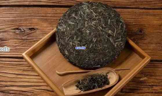 五年普洱茶：从选购到品鉴，你需要了解的一切指南