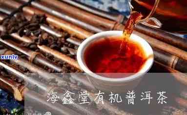 海鑫堂普洱茶好不好喝？价格查询，云南熟茶新体验！