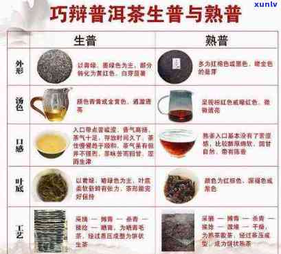 海鑫堂云南普洱茶熟茶：品质、产地、 *** 工艺、口感与功效全方位解析