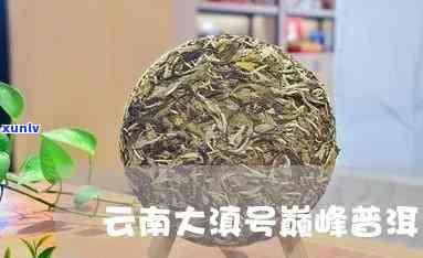 大滇号普洱茶价格表