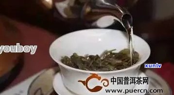 普洱茶最多泡几次？如何正确冲泡普洱茶？