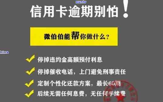 如何撰写邮政信用卡逾期还款证明：全面指南和建议