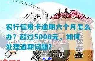 农行信用卡欠款5000元，已逾期超过6个月：该如何解决？