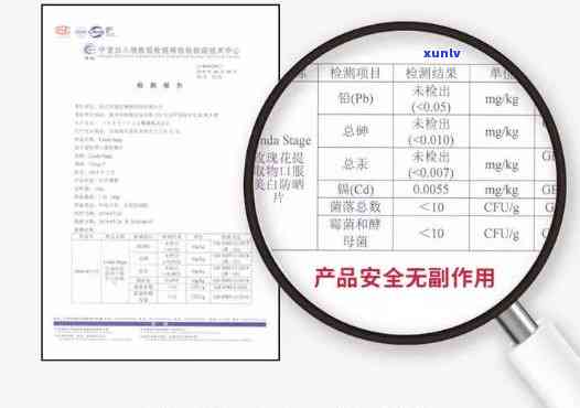 普洱茶中黄曲霉素的检测与安全性研究