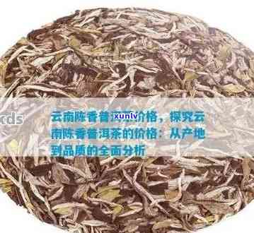 陈香普洱茶茶饼价格大全：了解市场行情及品质分析，助你选购合适的普洱茶