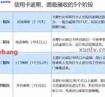 信用卡逾期还款后，用户是否仍需支付利息及处理方式全面解析