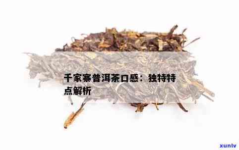 千家寨普洱茶：品质与口感的完美结合，值得品鉴