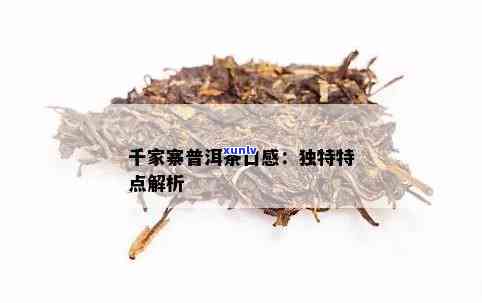 千家寨普洱茶：口感特点、品种介绍与品鉴技巧，一文全面解析！