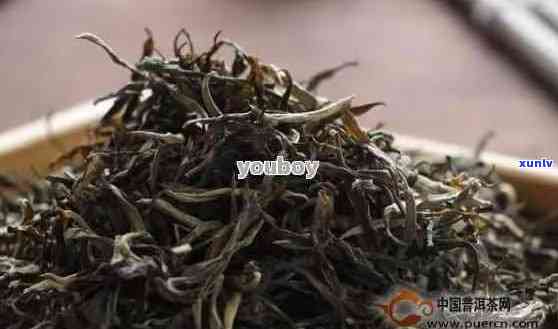 普洱茶价格解析：4年后的普洱茶一斤多少钱？