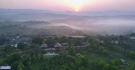 哈尼山寨古树普洱茶：原生态的味道，传承千年的文化