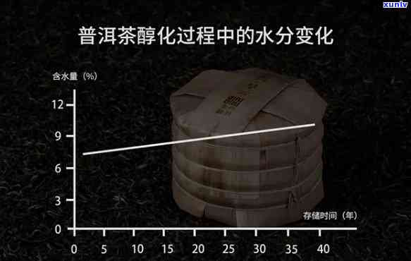 普洱茶膏的醇化年份与其品质的相关性探讨：一份全方位指南