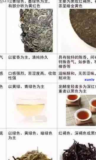 普洱茶：品鉴与选购指南，让你了解国色天香的魅力