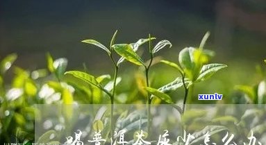 喝普洱茶尿少怎么办