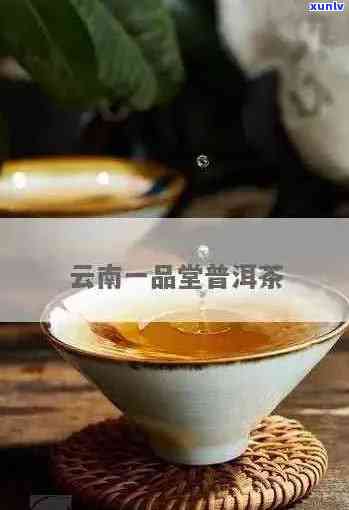 一品堂普洱茶属于几线？一品堂普洱茶好吗？一品堂普洱茶官方网站。