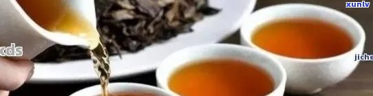 普洱茶和仲可以一起泡吗？