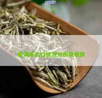 迷迭香普洱茶的出口情况与功效作用、价格及口感评估