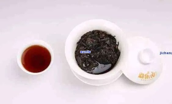 10年陈普洱茶：品质、功效与选购指南，解答您的所有疑问