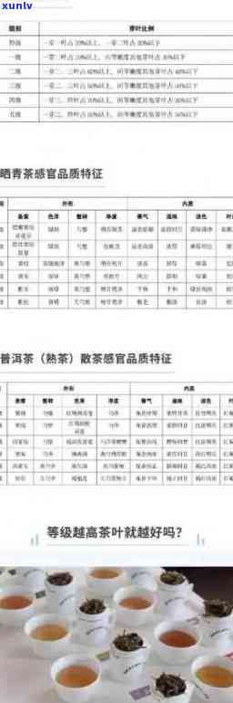 普洱茶品级与价格对照表：全方位指南与投资分析