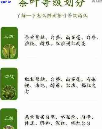 普洱茶分级及等级差异：如何识别？